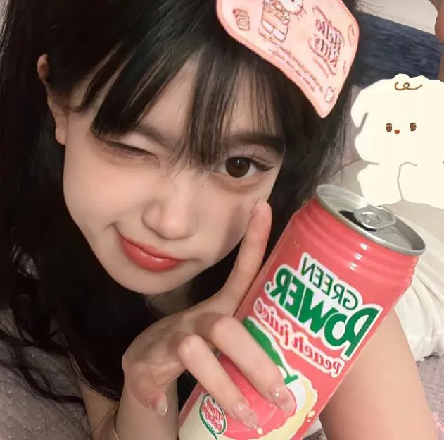 盗影谜情