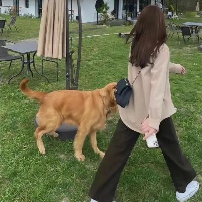 青出于蓝第一季
